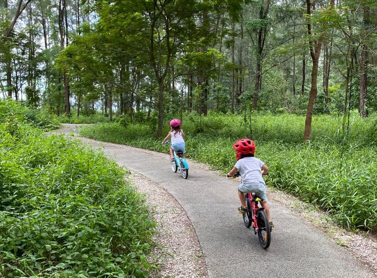 新加坡科尼島指南：騎自行車、海灘、健行等