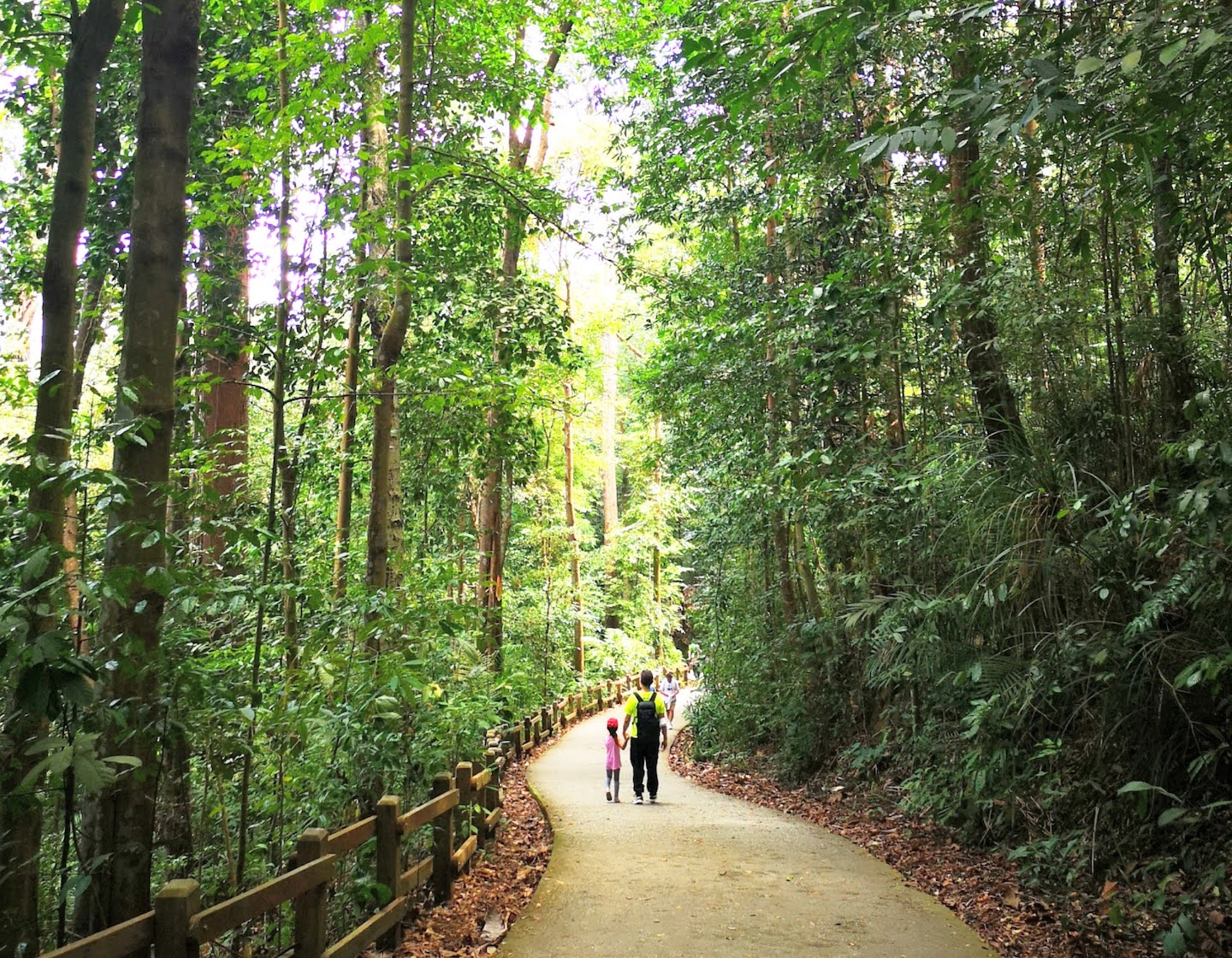 武吉知馬自然保護區和欣德赫德自然公園指南