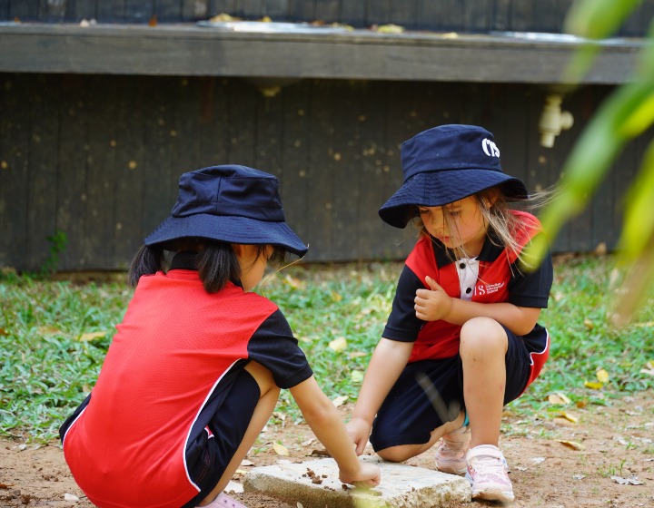 'คณิตในโคลน' ภาษาจีน โฟนิกส์ และว่ายน้ำก่อนอาหารกลางวัน! สัมผัสประสบการณ์ที่เด็กอนุบาลของ CIS พบเจอ (รีบหน่อย ช่องเปิดบ้านมีจำนวนจำกัด)