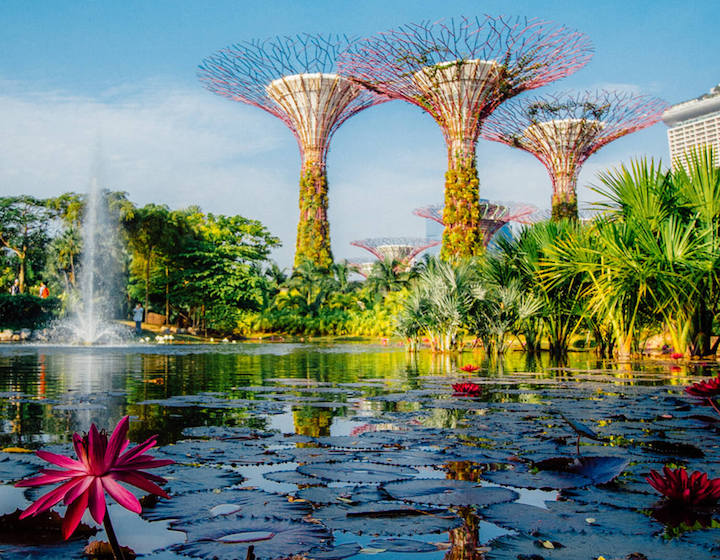 ใหม่! ประสบการณ์ป่าที่ซ่อนอยู่ที่ Cloud Forest + คู่มือสำหรับเด็กที่ Gardens by the Bay