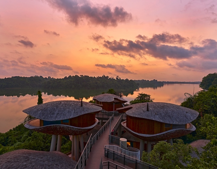 Mandai Rainforest Resort By Banyan Tree: รีสอร์ทที่ได้รับแรงบันดาลใจจากธรรมชาติพร้อมบ้านต้นไม้ ประสบการณ์สุดพิเศษ และอื่นๆ อีกมากมาย