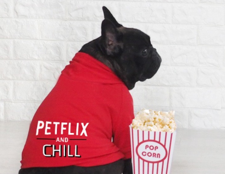 Petflix And Chill 慈善活動