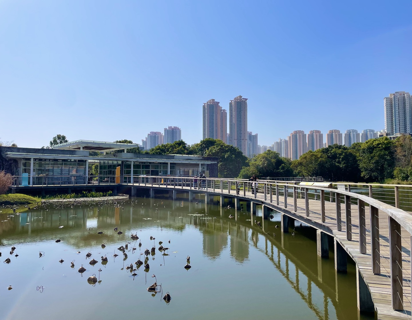 Hong Kong Wetland Park: ทริปท่องเที่ยวเชิงอนุรักษ์ในพื้นที่ชุ่มน้ำของฮ่องกง