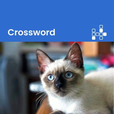 Crosswords: Crossword ของเกมสมอง #41